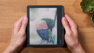 Kobo Libra Colour mit farbigem Papageienbild und rechter Griffleiste.
