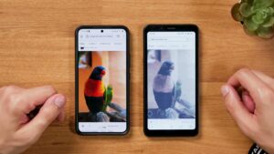 Zwei Smartphones mit einem Papageienfoto; rechts das HiBreak Color mit gedeckten Farben.