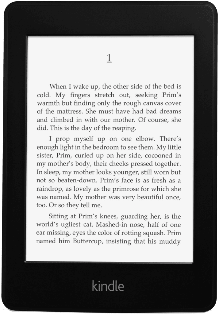 Kindle Paperwhite 2