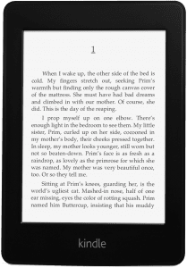 Kindle Paperwhite 2