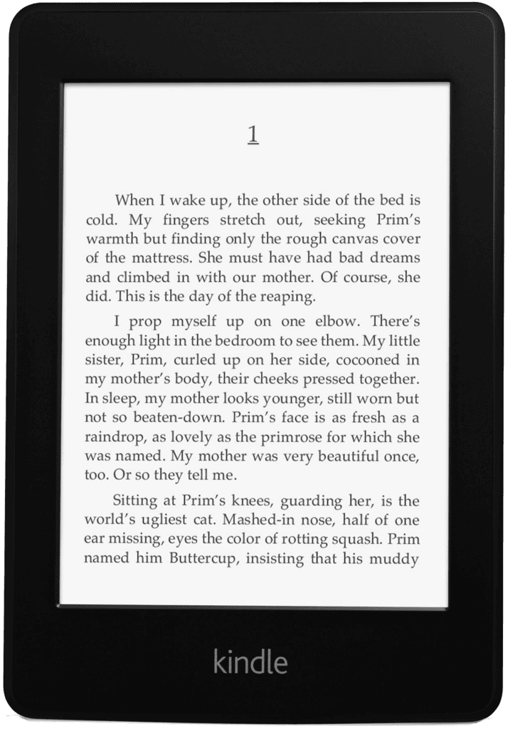 Kindle Paperwhite 1