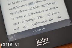 kobo-glo-41