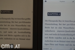 kobo-glo-04
