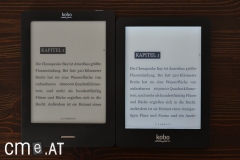 kobo-glo-06