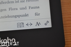kobo-glo-22