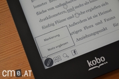 kobo-glo-31