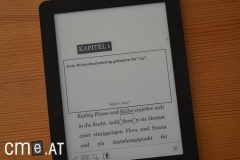 kobo-glo-34